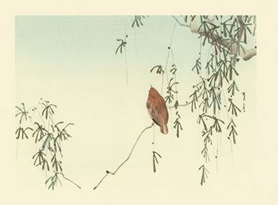 History of Japanese Bird Prints Chapter 3 - Shin Hanga Notable